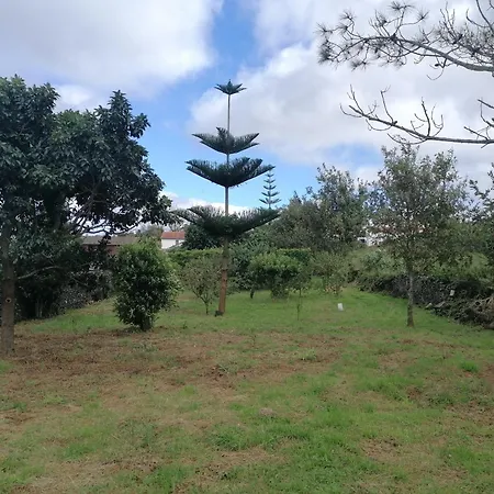 Espaco Roteiro De Mimos Homestay