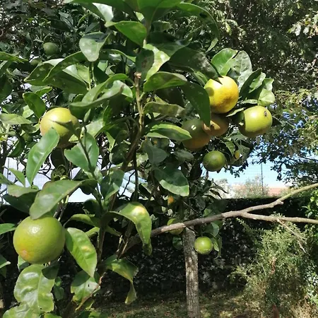 Kwatera prywatna Espaco Roteiro De Mimos *