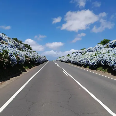 Espaco Roteiro De Mimos *