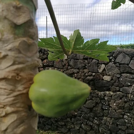 Espaço Roteiro De Mimos * Açores