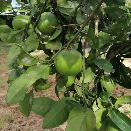 Privatunterkunft Espaco Roteiro De Mimos *