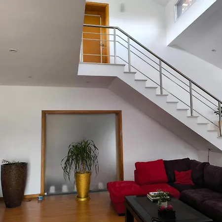 Espaco Roteiro De Mimos Homestay Sao Vicente Ferreira