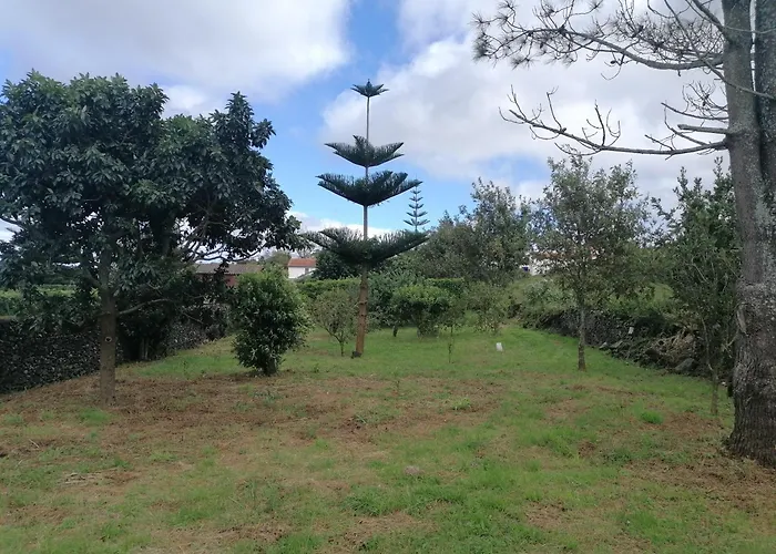 Espaco Roteiro De Mimos 홈스테이