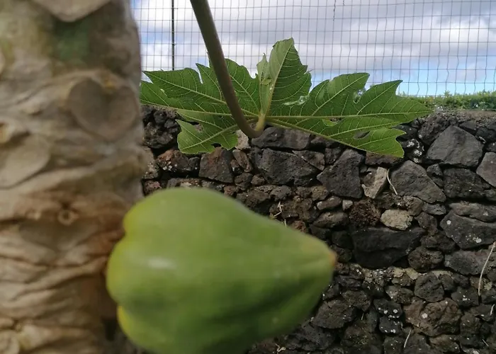 Espaco Roteiro De Mimos * São Vicente Ferreira