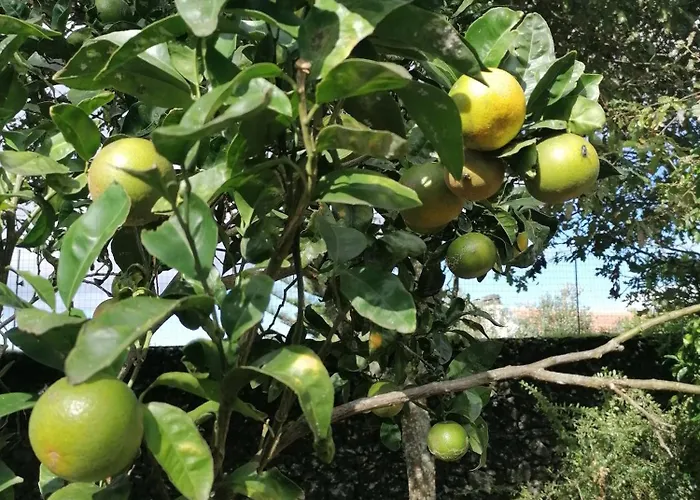 בית אירוח Espaco Roteiro De Mimos *