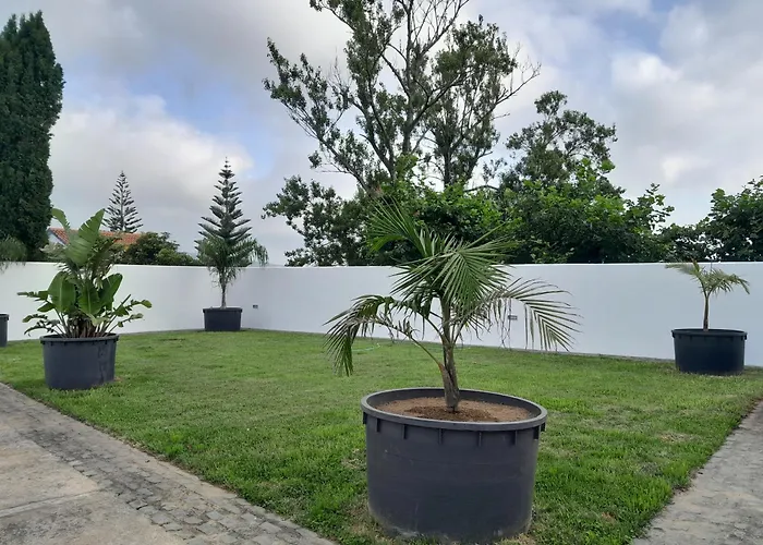 Espaco Roteiro De Mimos * São Vicente Ferreira