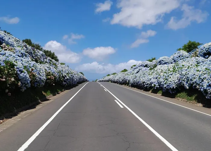 Espaco Roteiro De Mimos *