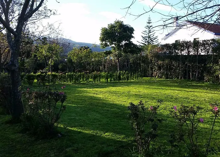 Espaco Roteiro De Mimos São Vicente Ferreira